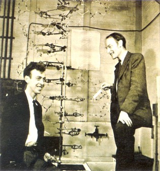 1 Ferramenta de colaboração James Watson e Francis Crick, descobriram a estrutura do DNA sem trabalhando apenas com modelos. Foram construindo estruturas até chegarem à solução.