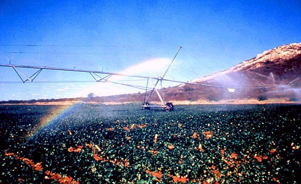 CANAL DO SERTÃO PERNAMBUCANO Empreendimentos hidroagrícolas de