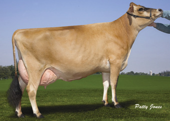 JERSEY Abril 2012 BLACKSTONE Lendcrest Blackstone-ET VG Parade x Declo Free-Mar