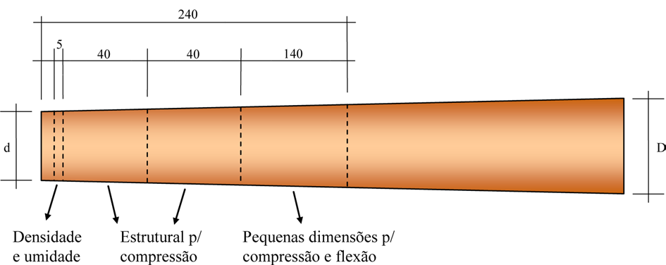 Peças de aproximadamente 400 mm de comprimento foram retiradas das toras de 7,5 metros e ensaiados em três ciclos de carregamento.