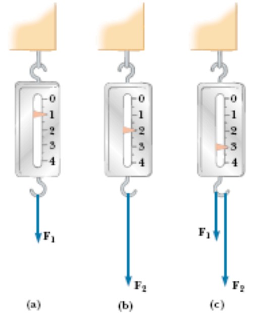 Natureza Vetorial da Força Vetor força: tem magnitude e direção Força Resultante: a força resultante agindo num objeto F = F = F + F + res 1 2 F 3 +.