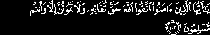 Há muito mais exemplos no Alcorão onde Allah fala para aqueles que creram para que temessem à Allah, como no versículo da Surat Ali Imran, versículo 102: Ó vós que creem.