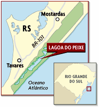 A vegetação está representada por espécies características de solos arenosos e com alto teor de salinidade, como a macela graúda, o brejo-da-praia e a espartina.