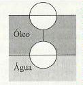 P7. Duas bolas de mesmo raio, igual a 10cm, estão presas uma à outra por um fio curto de massa desprezível.