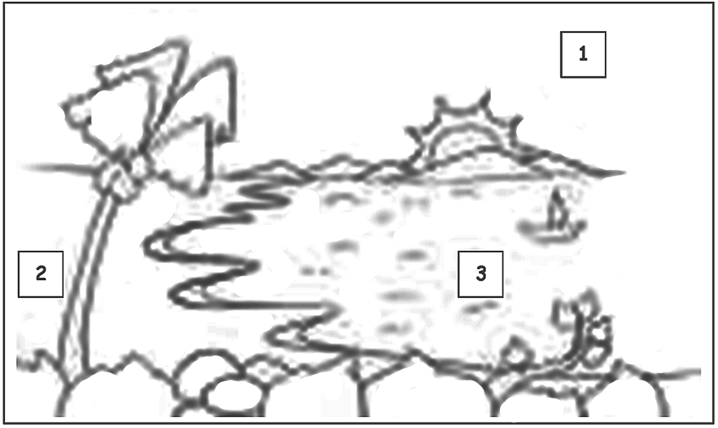 CIÊNCIAS 1 o BIMESTRE A Terra, externamente, está dividida em três camadas distintas. Observe atentamente a imagem e responda às questões abaixo.