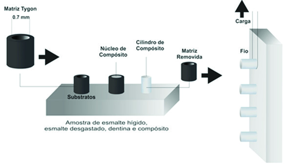 GARCIA, Rubens Figura 2 - Representação esquemática da metodologia utilizada. Fonte: Garcia, RN.