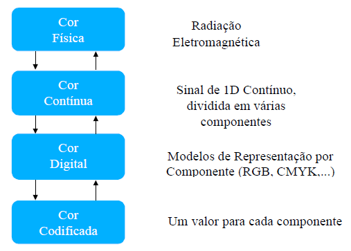 Cor Paradigma