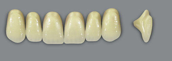 VITAMFT Multi Functional Teeth Dentes Anteriores Superiores Oval Triangular O40 T41 40,0 40,5 10,0 9,4 7,5 7,5 O44 T43 43,9 43,3 10,2 10,3 8,1 8,2 O49 T46 49,2 46,1 11,8 10,2 9,0 8,5 Todas as medidas