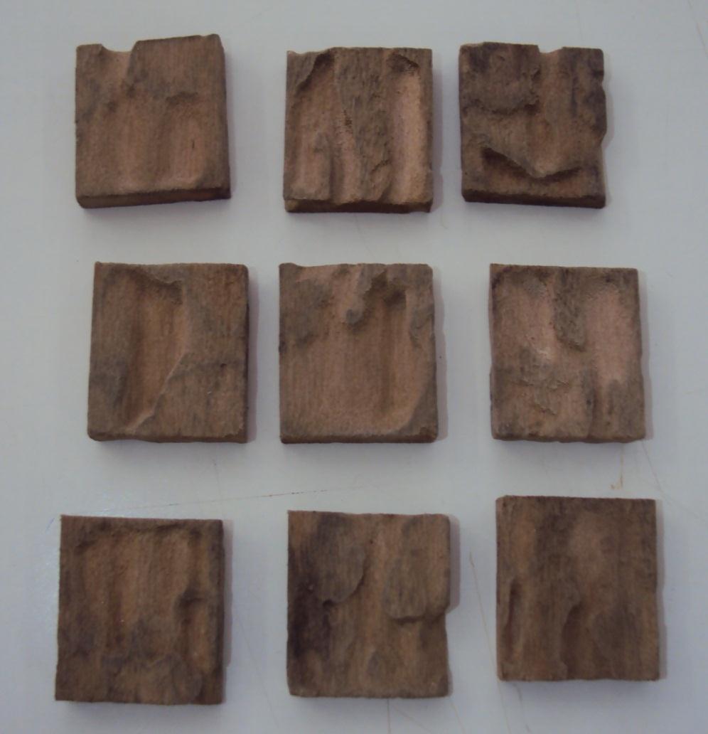 36 Figura 11 Corpos de prova da madeira de Platanus sp.