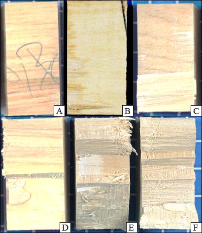 83 Figura 19 - Percentual de falha na madeira (FM%) observado nas peças de cisalhamento na linha de cola.