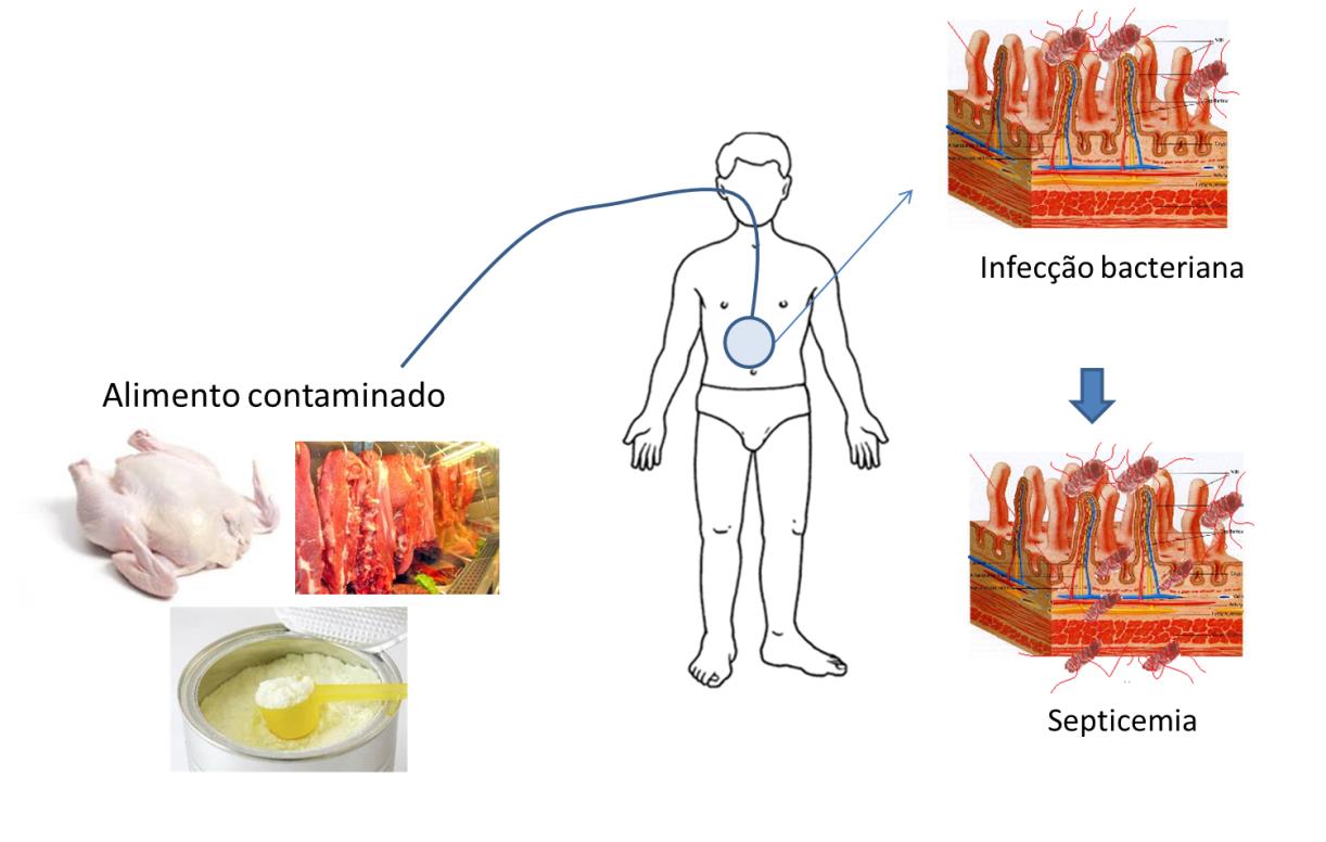 DOENÇAS DE ORIGEM BACTERIANA As bactérias podem causar doenças basicamente de três formas: infecção, intoxicação e toxinfecção. Infecção é causada quando ocorre ingestão de microrganismos patogênicos.