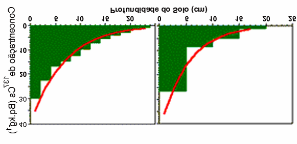 3.1.1 Solo Não Perturbado. Em geral, a distribuição de 137 Cs em um solo não perturbado mostra um comportamento tipicamente exponencial em relação às diversas camadas do solo. A Figura 3.