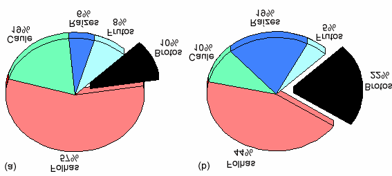 O comportamento do 85 Sr também foi estudado nestes dois casos. Diferentemente do césio, o 85 Sr se apresenta sob a forma de um íon bi-valente ( ++ Sr).