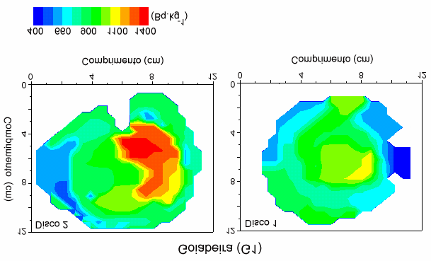 Figura 4.13: Gráficos bidimensionais das concentrações de 137 Cs nos discos da goiabeira (G1). Esta figura ilustra a distribuição longitudinal do radionuclídeo.