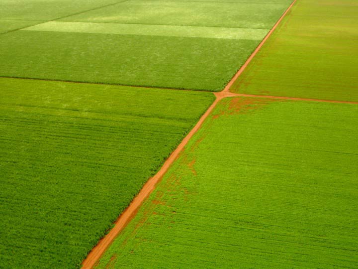 O Agronegócio Soja no Brasil Eficiência