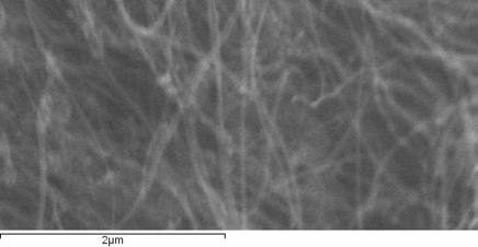 Em uma outra experiência, foram utilizados os seguintes parâmetros de crescimento: Volume de Tolueno = 5,0mL Massa do Ferroceno = 0,12031g A temperatura do forno foi de 850 o C.