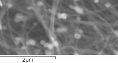 Essas amostras foram preparadas utilizando-se nanotubos da