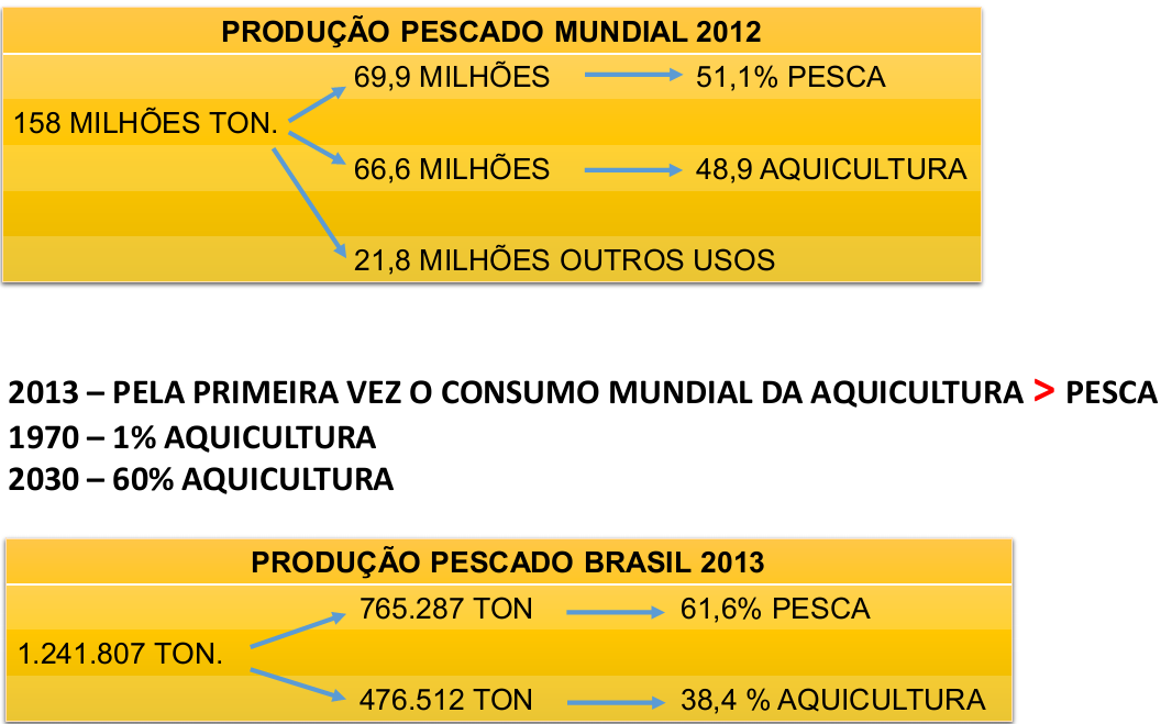 Brasil produz mais carne