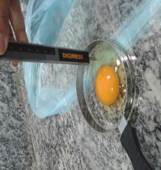 32 albúmen e a chalaza, e colocadas em um copo plástico tarado e identificado com o mesmo número do ovo, sendo imediatamente pesadas.