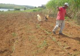 Conservação do Solo FORMAÇÃO DE PASTAGENS Plantio Melhor época de plantio: novembro a janeiro; INÍCIO DO PERÍODO CHUVOSO Final do período chuvoso: riscos para a formação do pasto; O método de plantio