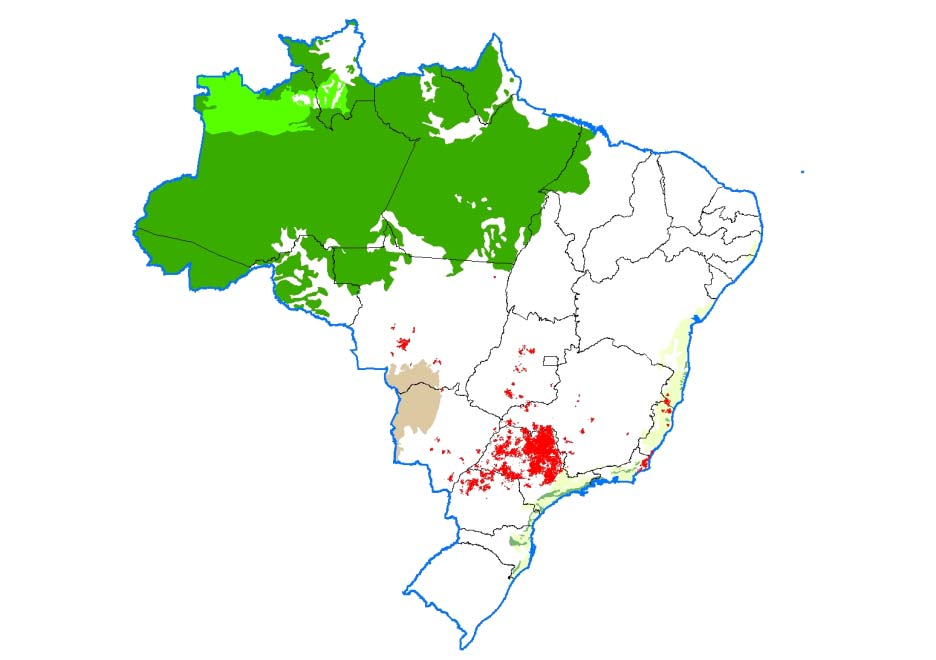 PRODUÇÃO E EXPANSÃO DO ETANOL Mais de 2.