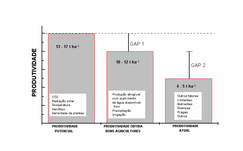 ESTRATÉGIAS DE MANEJO PARA ALTA PRODUTIVIDADE