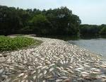 Água no Brasil A falta de água em algumas regiões, como na Caatinga Nordestina, provoca a saída de muitas pessoas para outras regiões, aumentando ainda mais as diferenças hídricas.