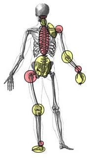 JOINT BY JOINT APPROACH Articulação Pé Tornozelo Joelho Anca Coluna Lombar Coluna Dorsal Coluna Cervical