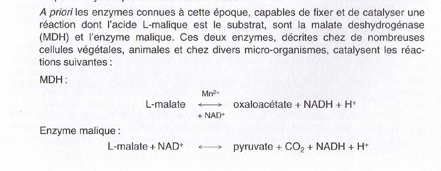 Fonte: Traité d Oenologie