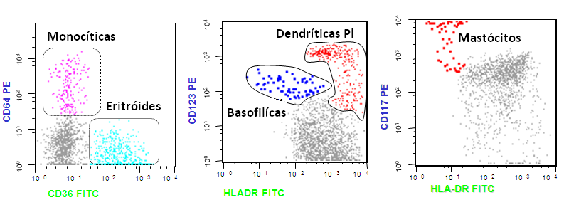 Identificação fenotipica das CTH CD34+