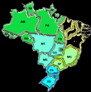 9. Áreas de Atuação Brasil nas próximas décadas Base Florestal mudança do centro de gravidade do negócio florestal (ciclo em décadas). Anos 2020-2040: migração para a região norte.