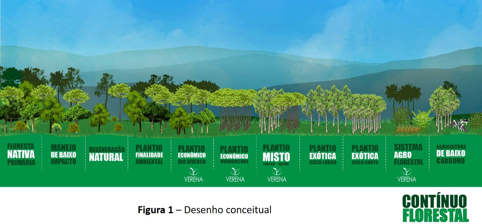 dessa área ocorre por regeneração natural, a oportunidade para reflorestamento com fins econômicos é real, mas sua escala é desafiadora.