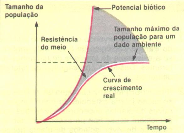 curva de crescimento de
