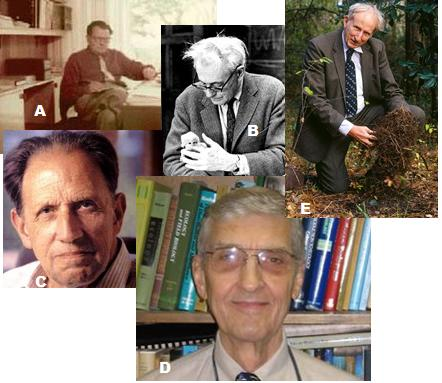Fig 10. Principais cientistas que desenvolveram teorias a respeito de sistemas ecológicos. ( Extraído de (a) http://escoladeredes.ning.com/page/itinerarios-de-leituras-4 ; (b) http://www.biology.duke.