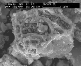 As Figuras de 4-6 mostram as imagens de microscopia dos pós obtidos a 950 o C com 0, 60 e 120 minutos de reação.