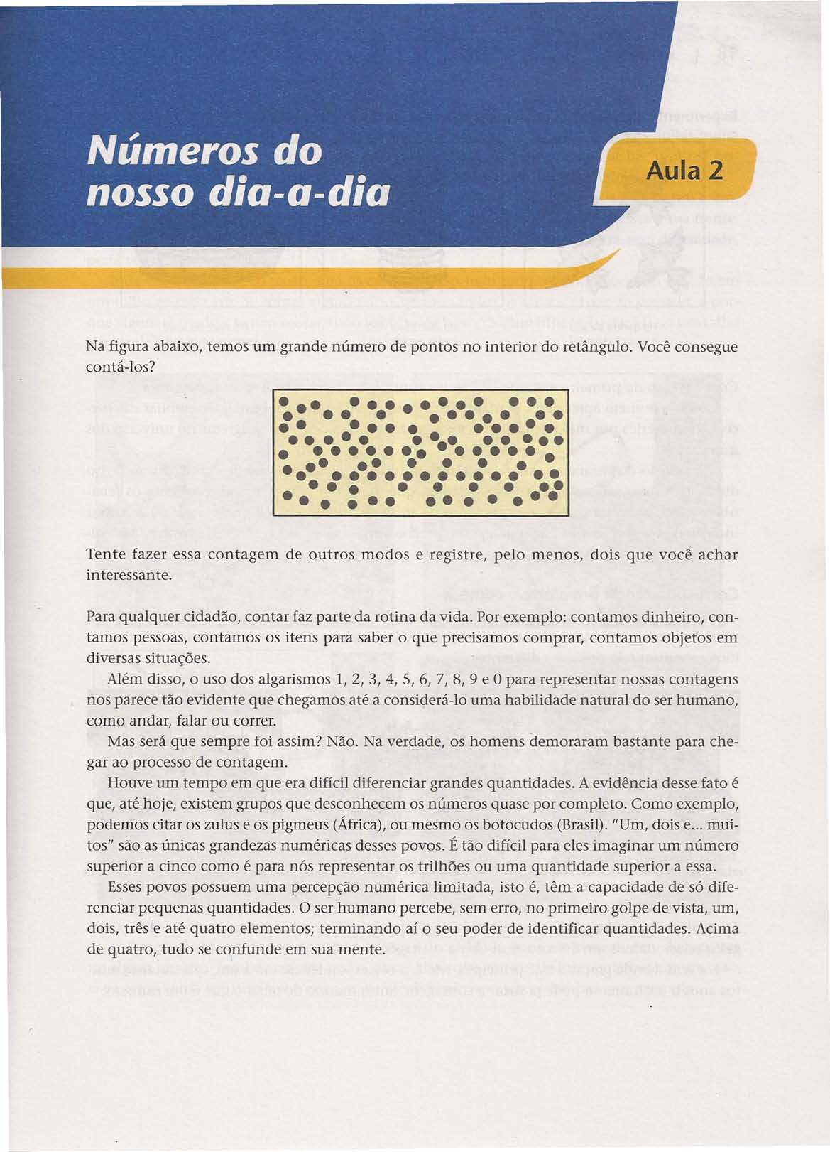 Aula 2 Na figura abaixo, temos um grande número de pontos no interior do retângulo. Você consegue contá-los?