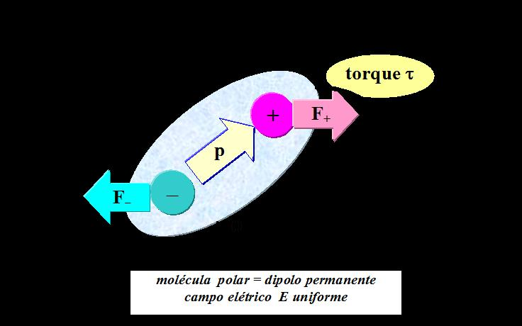 Molécula Polar aparece o torque τ torque t E p + F + F q molécula polar = dipolo permanente c ampo elétrico E
