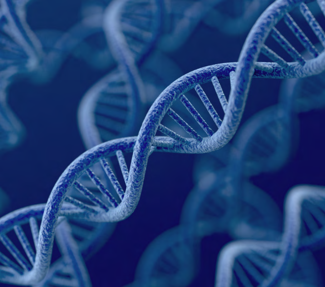 SOBRE CGC GENETICS MAIS DE 20 ANOS DE EXPERIÊNCIA EM GENÉTICA MÉDICA CGC Gene0cs é um dos principais laboratórios de Europeus de Gené0ca Clínica, e líder em testes de Gené0ca Médica Missão: em