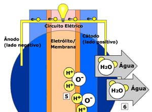 O catalisador separa a molécula de oxigênio em dois átomos de oxigênio.cada átomo de oxigênio atrai dois íons H+ através do eletrólito.