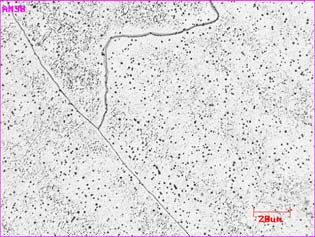 Figura 18. Microestrutura da zona fundida do eletrodo ER430LNb e gás de proteção Ar+4%CO 2. Figura 19. Microestrutura da zona fundida do eletrodo ER430LNb e gás de proteção Ar+8%CO 2. 4.