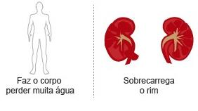 DAAA: Como foi a aceitação da carne suína pelos alunos na rede?