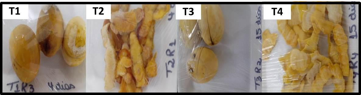 PERDA DE MASSA FRESCA (%) VITAMINA C (mg/ml) 219 22 Figure 3: ph of the pequi inner mesocarp subjected to different treatments during storage.