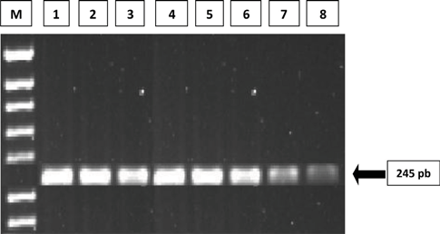 protocolo adaptado de Van der Zanden et al.