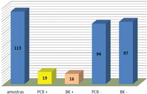 Figura 2. Análise comparativa dos resultados obtidos entre o método molecular (PCR) e a baciloscopia.