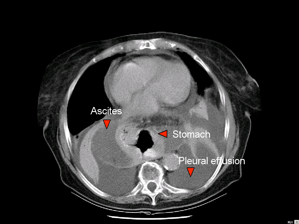 Serviço de Radiologia