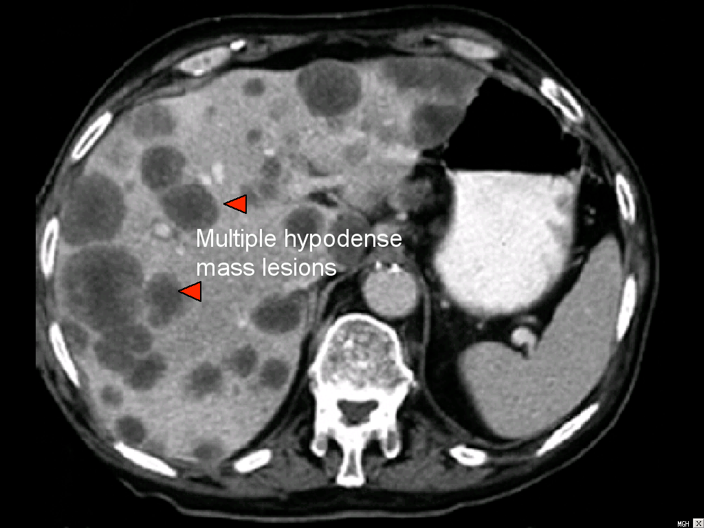 Serviço de Radiologia