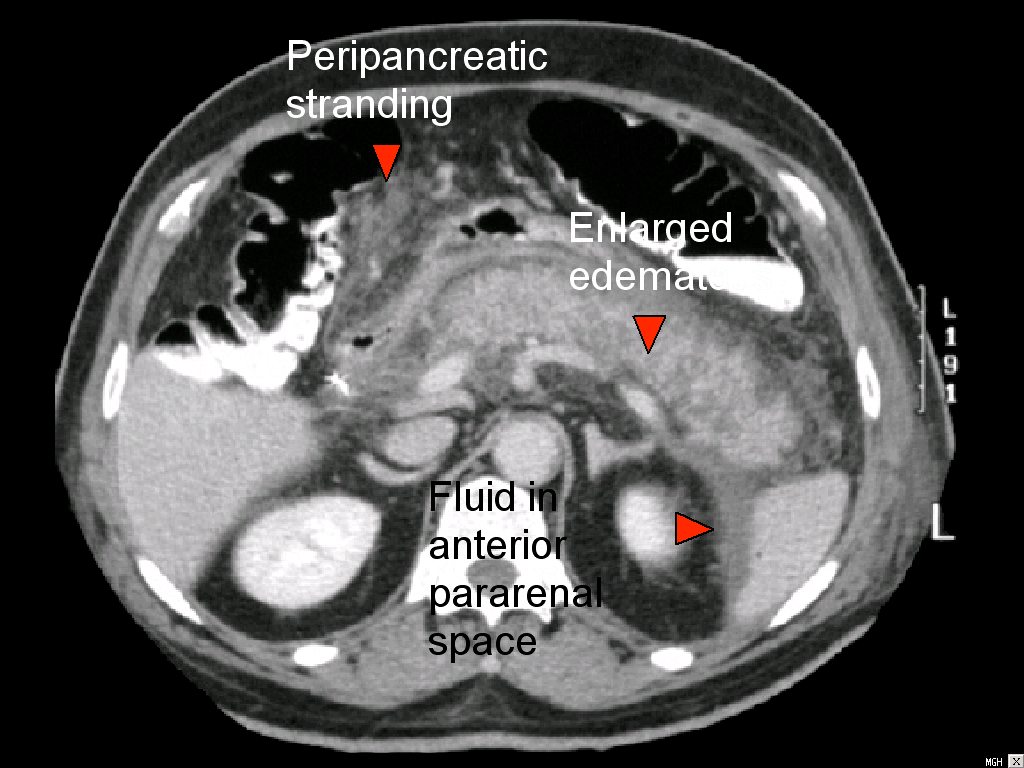 Serviço de Radiologia