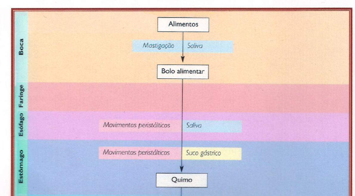 FENÓMENOS FÍSICOS E QUÍMICOS