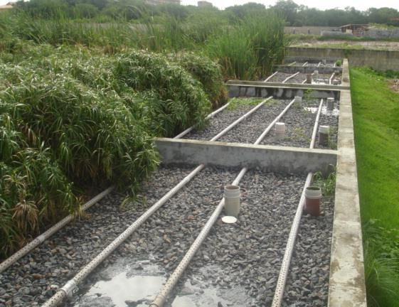 36 Figura 11 Corte esquemático dos elementos constituintes dos wetlands construídos da ETE Vog Ville/ EMBASA Zona de Entrada Zona de Desenvolvimento de Macrófitas Zona de Saída 1 2 3 4 1 Leito de