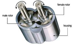O formato dos rotores é helicoidal, com diferentes números de lóbulos tanto do rotor macho quanto no rotor fêmea, conforme representação da Fig. 4.14.
